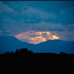 Meet your Posher, Memelissa